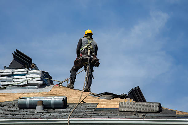 Professional Roof Replacement technician working in Mchenry, ND